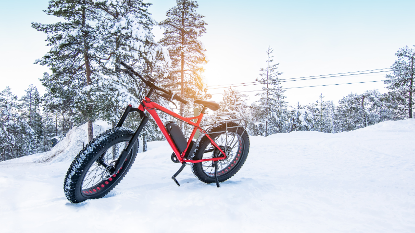 Ebike takes you on a journey of freedom