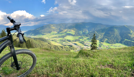 Electric bike supplier&wholesale