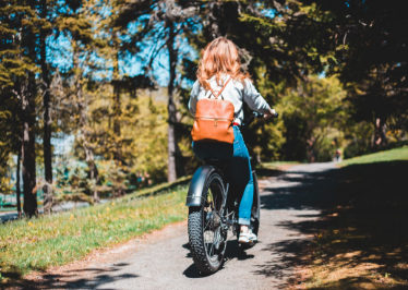 Electric bike supplier&wholesale