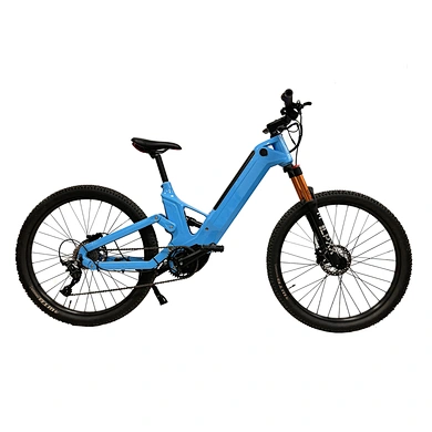 E-MTB Ebikes