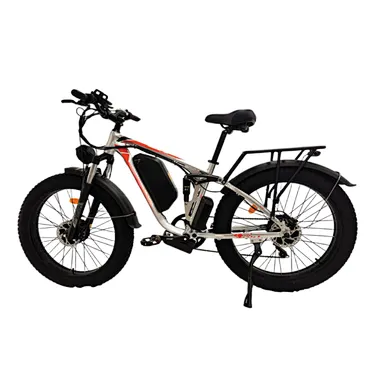 Commuter Ebike