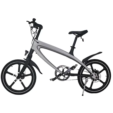 Lithium battery ebike